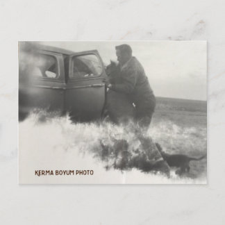 Pony in het Briefkaart van de auto