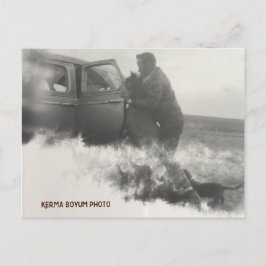 Pony in het Briefkaart van de auto