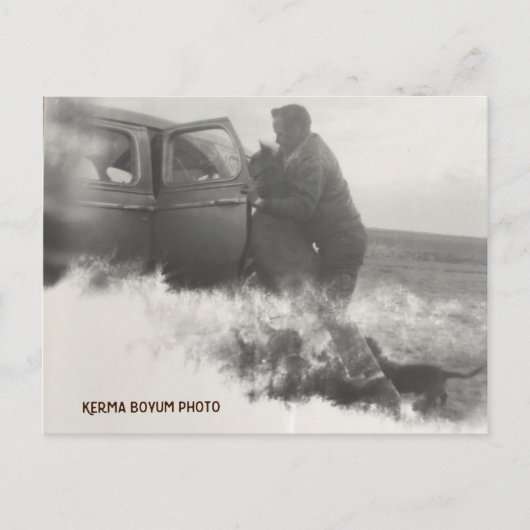 Pony in het Briefkaart van de auto (Voorkant)