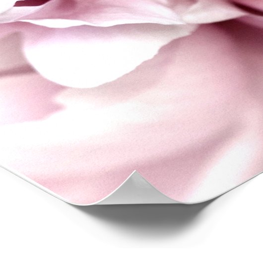 Pony in Macro met Digital Art Pink Poster (Hoek)