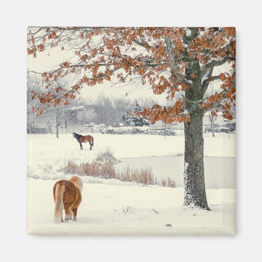 Pony in sneeuw met boommagneet magneet (Voorkant)