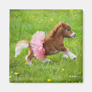 Pony in Tutu Magneet