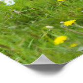 Pony in Tutu Poster (Hoek)