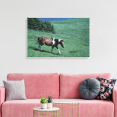 Pony in weide canvas afdruk (Insitu (Woonkamer))