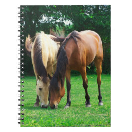 Pony Love Notitieboek