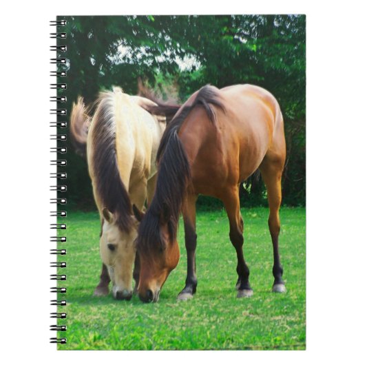 Pony Love Notitieboek (Voorkant)