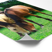 Pony Love Poster (Hoek)
