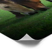 Pony Love Poster (Hoek)