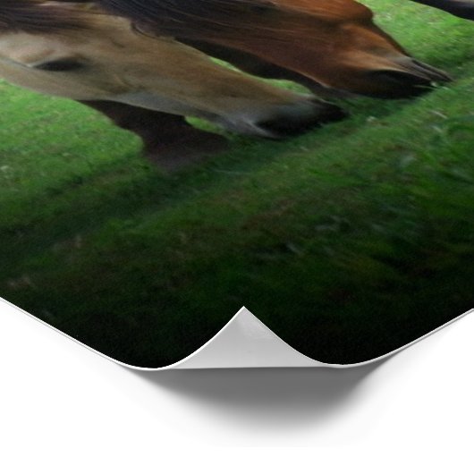 Pony Love Poster (Hoek)