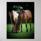 Pony Love Poster (Voorkant)