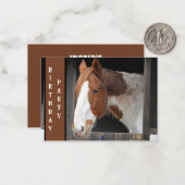 Pony met gemberkleurige vacht op boerderij Gewoon  Notitiekaartje (Voorkant / Achterkant in situ)