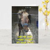 PONY MET HAAR DELEMA=VERJAARDAG KAART (Gele Bloem)