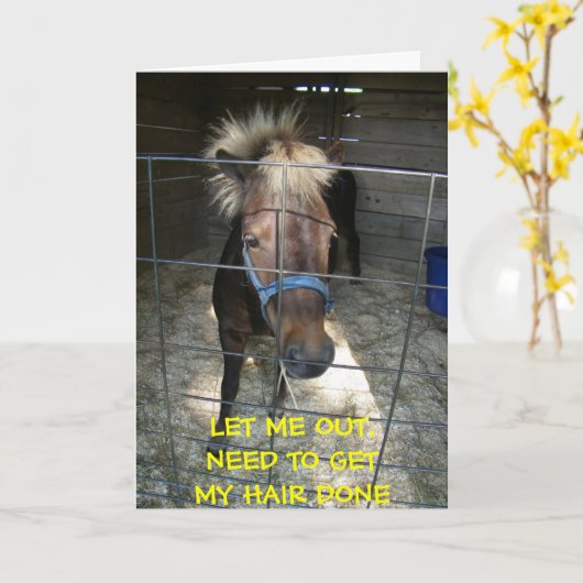 PONY MET HAAR DELEMA=VERJAARDAG KAART (Gele Bloem)