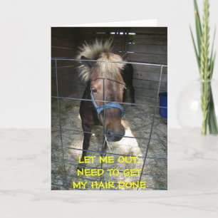 PONY MET HAAR DELEMA=VERJAARDAG KAART