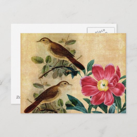 Pony met Nightingales Briefkaart (Voorkant / Achterkant)