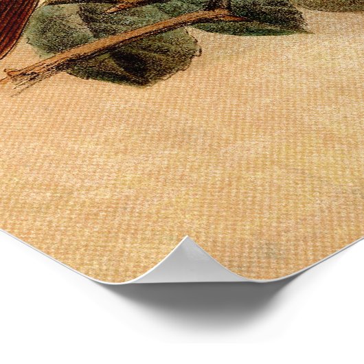 Pony met Nightingales Poster (Hoek)