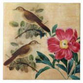 Pony met Nightingales Tegeltje (Voorkant)