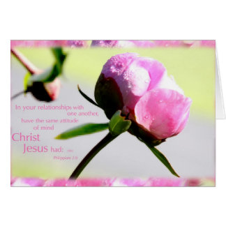 pony met Phillipians 2:8 vers