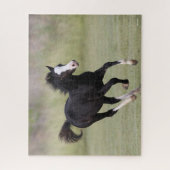 Pony met zwarte en witte roes legpuzzel (Verticaal)