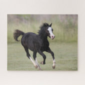 Pony met zwarte en witte roes legpuzzel (Horizontaal)