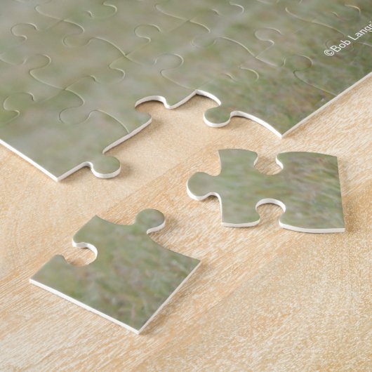 Pony met zwarte en witte roes legpuzzel (Zijkant)