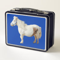 Pony miniatuur paardendier huisdier