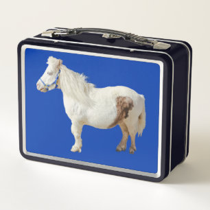 Pony miniatuur paardendier huisdier