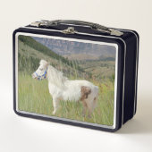 Pony miniatuur paardendier huisdier (Voorkant)