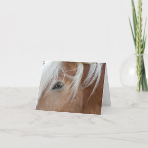 Pony Notecard Kaart