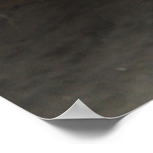 Pony Nuzzle Poster (Hoek)