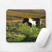 Pony op Dartmoor Muismat (Met muis)