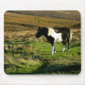 Pony op Dartmoor Muismat (Voorkant)