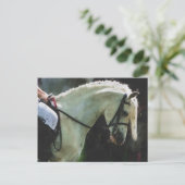 Pony op een show briefkaart (Staand voorkant)