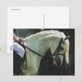 Pony op een show briefkaart (Voorkant / Achterkant)