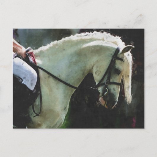 Pony op een show briefkaart (Voorkant)