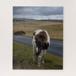 Pony op weg naar het nationaal park Dartmoor Legpuzzel