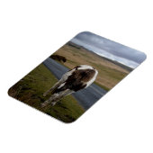 Pony op weg naar het nationaal park Dartmoor Magneet (Linkerzijde)