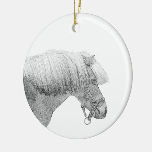 Pony ornament (Links)