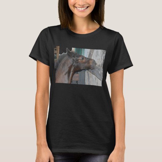 Pony/paarden T-shirt (Voorkant)