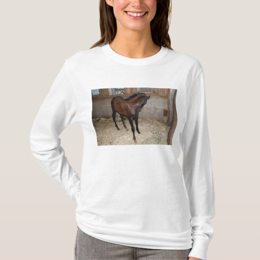 Pony/paarden T-shirt (Voorkant)