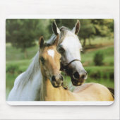 Pony Pad Muismat (Voorkant)