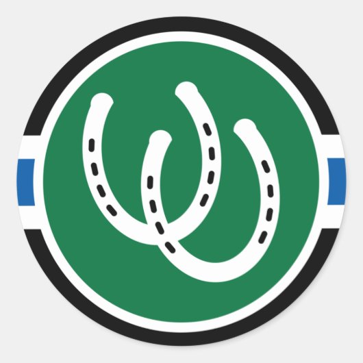 Pony Pride Flag  Ronde Sticker (Voorkant)