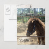 pony-profiel briefkaart (Voorkant / Achterkant)