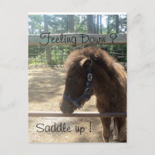 pony-profiel briefkaart