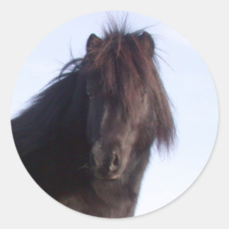 Pony Ronde Sticker