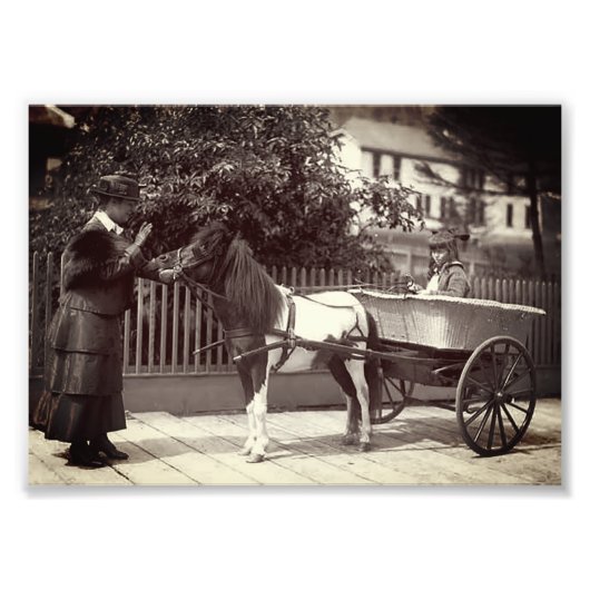 Pony schilder in Juneau, Alaska Foto Afdruk (Voorkant)