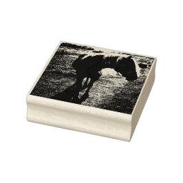 Pony Silhoueted Rubber Stamp Rubberstempel