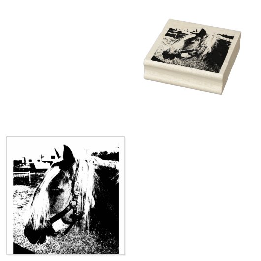 Pony Sluit Foto Rubber Stempel (Gestempeld)
