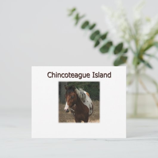 Pony Stallion Chincoteague Briefkaart (Staand voorkant)