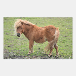 Pony stickers